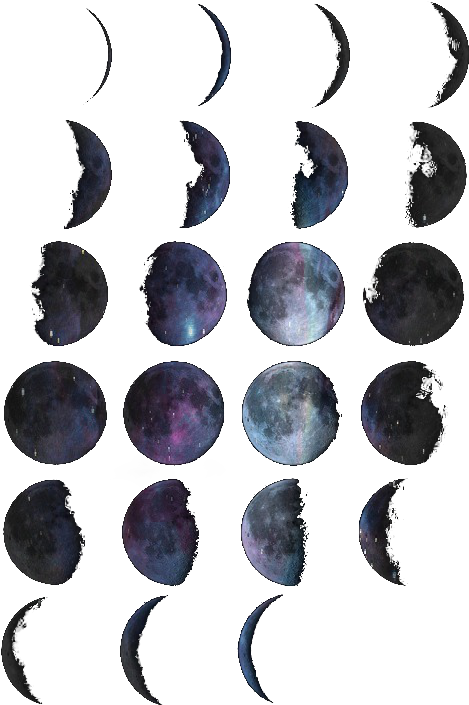 Looks Like It Was Painted In Watercolor - Looks Like It Was Painted In Watercolor - Free Transparent PNG Clipart Images Download. - Tattoo Transparent PNG Free Download