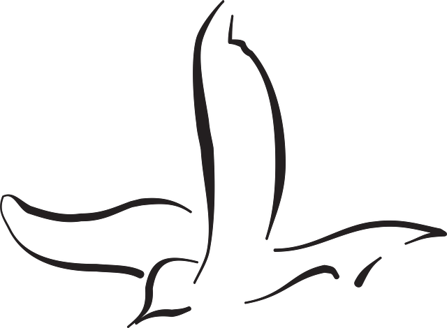 Bird Line Art-next Tattoo Bird Flying, Line Art, Outline, - Bird Line Art-next Tattoo Bird Flying, Line Art, Outline, - Free Transparent PNG Clipart Images Download. - Tattoo Transparent PNG Free Download