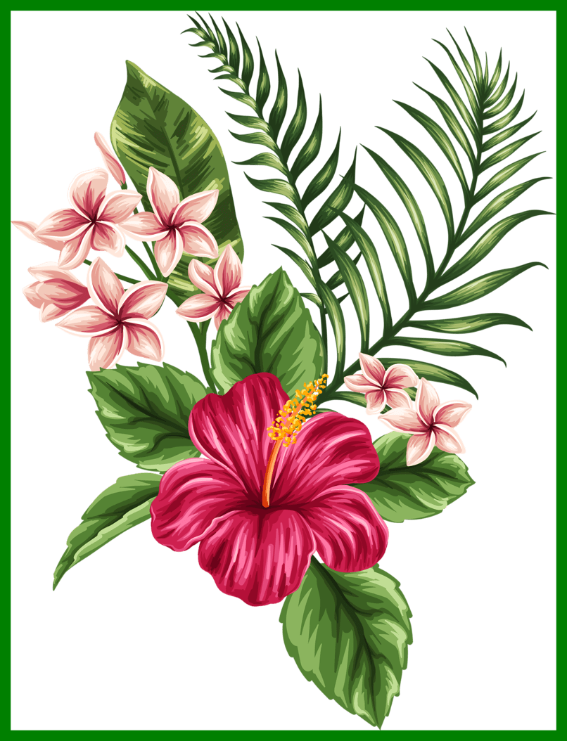 Perfect Finest Bird Of Paradise Bird Of Paradise Flower - Tropical Drawing Transparent PNG - 806x1054 - Free Download on - Tattoo Transparent PNG Free Download