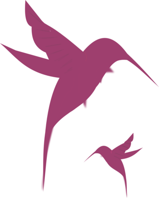 Pixabay/cco Public Domain/permission To Use - Baby Hummingbird Tattoo - Free Transparent PNG Clipart Images Download. - Tattoo Transparent PNG Free Download