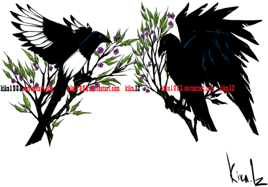 And Magpie Tattoo Commission By Kika On - Raven And Magpie Tattoo - Free Transparent PNG Clipart Images Download. - Tattoo Transparent PNG Free Download