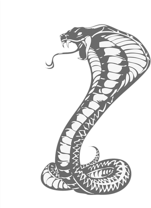 Cobras King Cobra Snakes Tattoo Snake Drawing Clipart - Khon Kaen United F.c. - Free Transparent PNG Clipart Images Download. - Tattoo Transparent PNG Free Download
