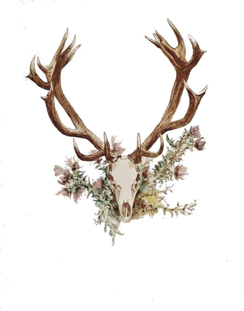 Antler Flower Horn Tattoo Wooden Angle - Deer Skull With Flowers Png - Free Transparent PNG Clipart Images Download. - Tattoo Transparent PNG Free Download