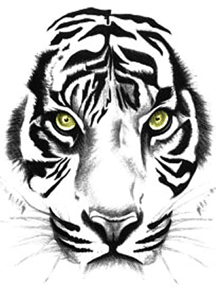 Tiger, Sumatra Tiger, Tierwelt, Tiger Tattoos Clipart - Outline Of A Tiger's Face - Free Transparent PNG Clipart Images Download. - Tattoo Transparent PNG Free Download