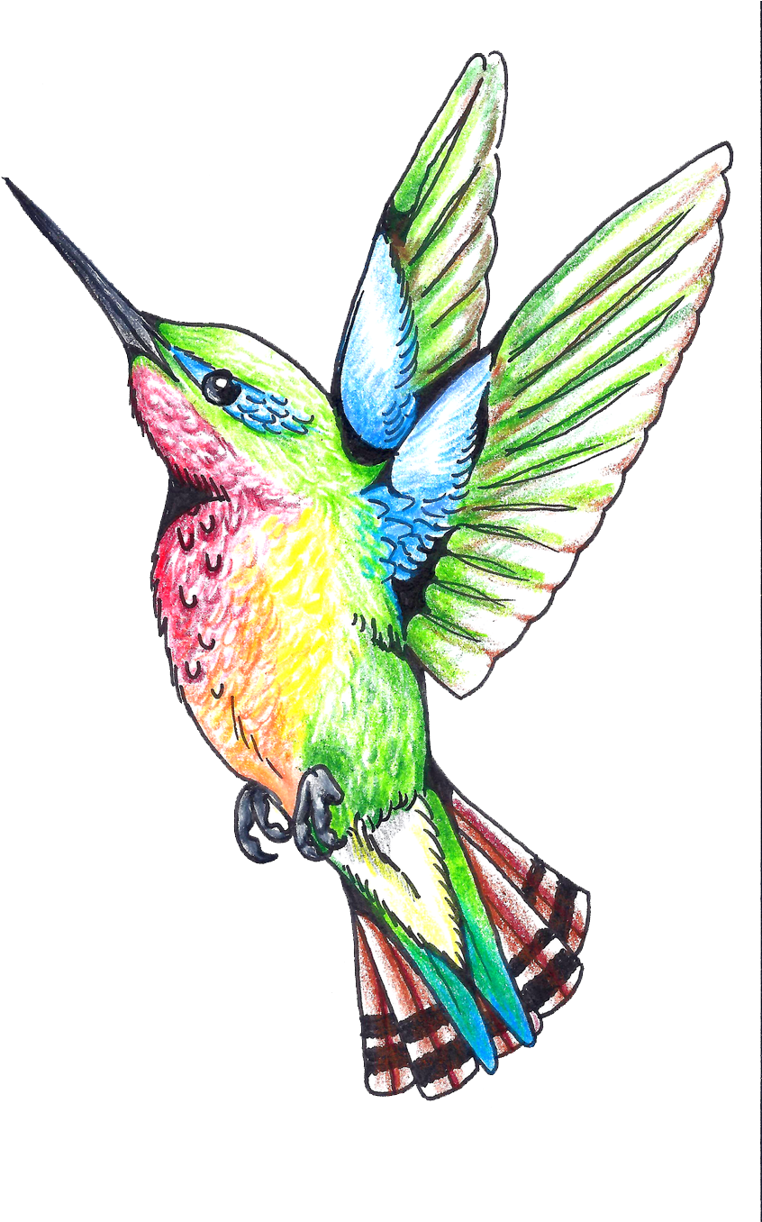 Hummingbird Tattoos Png Clipart - Hummingbird - Free Transparent PNG Clipart Images Download. - Tattoo PNG Hummingbird Tattoos Png Clipart - Hummingbird - Free Transparent PNG Clipart Images Download. - Tattoo Transparent PNG Free Download