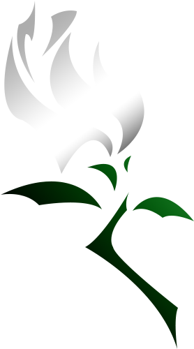White Rose Tattoo By L Oneliness - White Rose Tattoo By L Oneliness - Free Transparent PNG Clipart Images Download. - Tattoo Transparent PNG Free Download