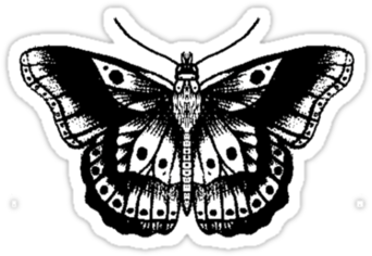 Harry Styles Butterfly Tattoo Png - Tatuaje Harry Styles Mariposa Transparent PNG - 375x360 - Free Download on - Tattoo Transparent PNG Free Download