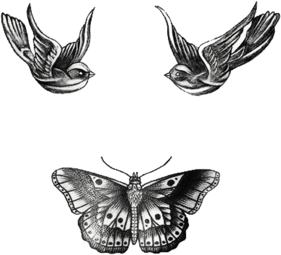 Tattoos Tatto Harrystyles Png Famous Singer Tumblr - Harry Styles Swallows Tattoo Transparent PNG - 1024x1024 - Free Download on - Tattoo Transparent PNG Free Download