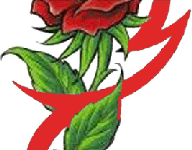 Flower Tattoo Png Transparent Images - Small Colour Rose Tattoo Design Transparent PNG - 640x480 - Free Download on - Tattoo Transparent PNG Free Download