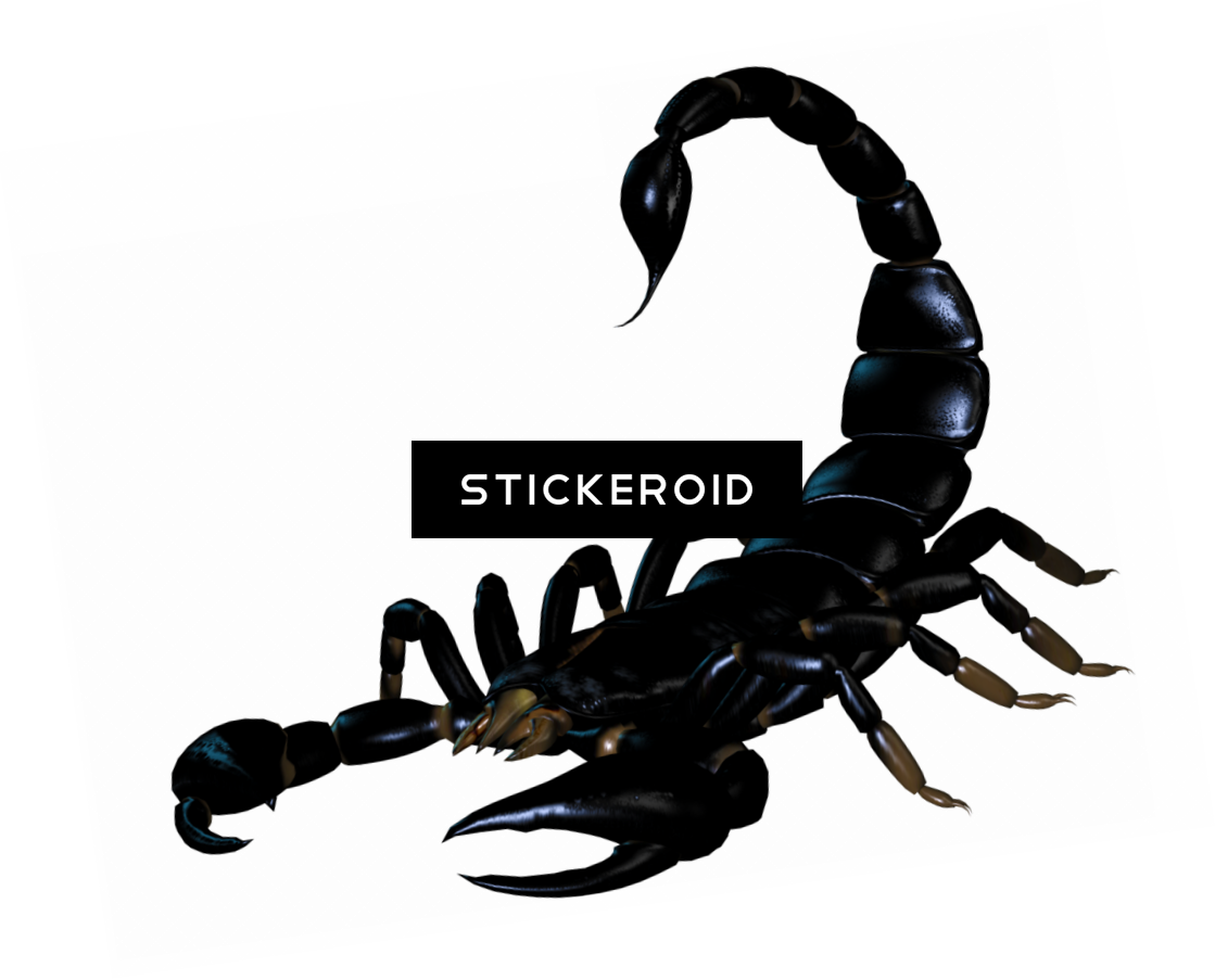 Scorpion Tattoo Silhouette Insects Scorpions - Imagenes Con Formato Bmp Transparent PNG - 1119x903 - Free Download on - Tattoo Transparent PNG Free Download