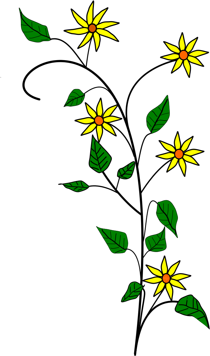 Edelweiss Flower Tattoo - Yellow Flowers Shower Curtain - Free Transparent PNG Clipart Images Download. - Tattoo Transparent PNG Free Download