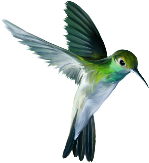 Clip Royalty Free Photo Zps Ef Png Tattoo Ideas Pinterest - Animals And Birds Png Transparent PNG - 600x665 - Free Download on - Tattoo Transparent PNG Free Download