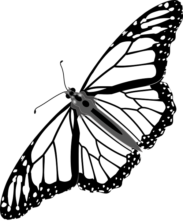 Cartoon Monarch Butterfly 25, Buy Clip Art - Monarch Butterfly Tattoo Vector - Free Transparent PNG Clipart Images Download. - Tattoo Transparent PNG Free Download