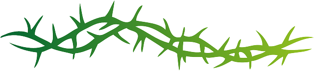 Flower Border Png - Arm Band Tribal Tattoo - Free Transparent PNG Clipart Images Download. - Tattoo Transparent PNG Free Download