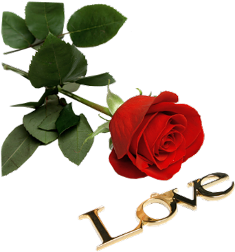 I Love You, Gifs, Tattoo Designs, Roses, Love You - Good Morning Have A Nice Day Coffee - Free Transparent PNG Clipart Images Download. - Tattoo Transparent PNG Free Download