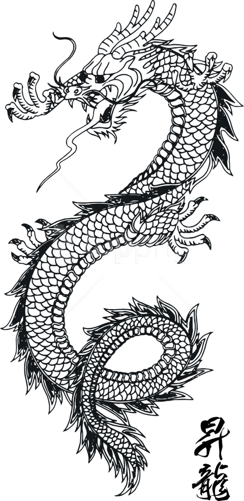 Free Png Download Dragon Clipart Png Photo Png Images - Japanese Dragon Tattoo Simple Transparent PNG - 480x984 - Free Download on - Tattoo Transparent PNG Free Download