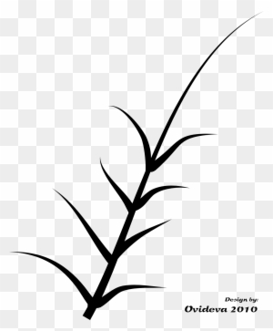 Green Plant Black White Line Art Tattoo Tatoo Flower - Vector Graphics - Free Transparent PNG Clipart Images Download. - Tattoo Transparent PNG Free Download