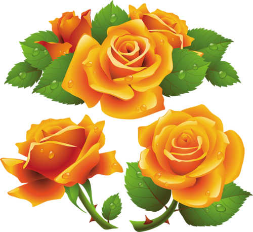Tattoo Picstattoo Ideasorange Rosesrose Tattoosbeautiful - Yellow Roses Free Vector - Free Transparent PNG Clipart Images Download. - Tattoo Transparent PNG Free Download