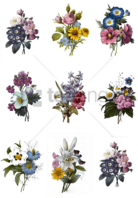 Free Png Colorful Flowers Tattoo Designs Png Image - Colorful Flower Tattoo Designs Transparent PNG - 480x688 - Free Download on - Tattoo Transparent PNG Free Download