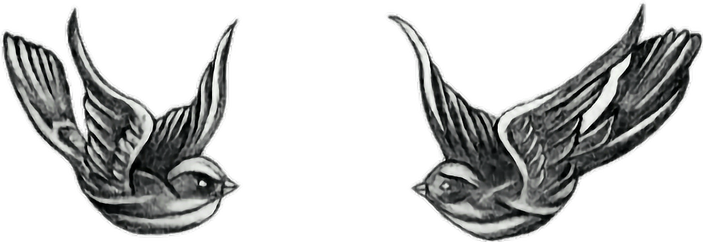 #tumblr #onedirection #tattoo #harrystyles #harry #styles - Harry Styles Tattoos Birds Transparent PNG - 1024x353 - Free Download on - Tattoo Transparent PNG Free Download