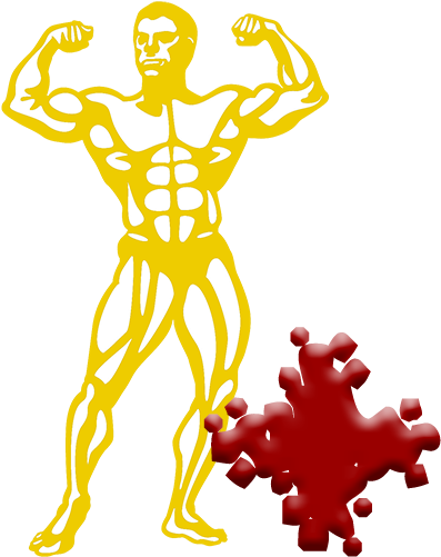 Skinfold Body Fat - Fashion Institute Of Technology - Free Transparent PNG Clipart Images Download. - Technology Transparent PNG Free Download