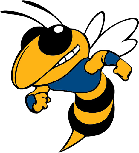 Welcome To Big Lake Hornets Athletic Website - Georgia Institute Of Technology - Free Transparent PNG Clipart Images Download. - Technology Transparent PNG Free Download