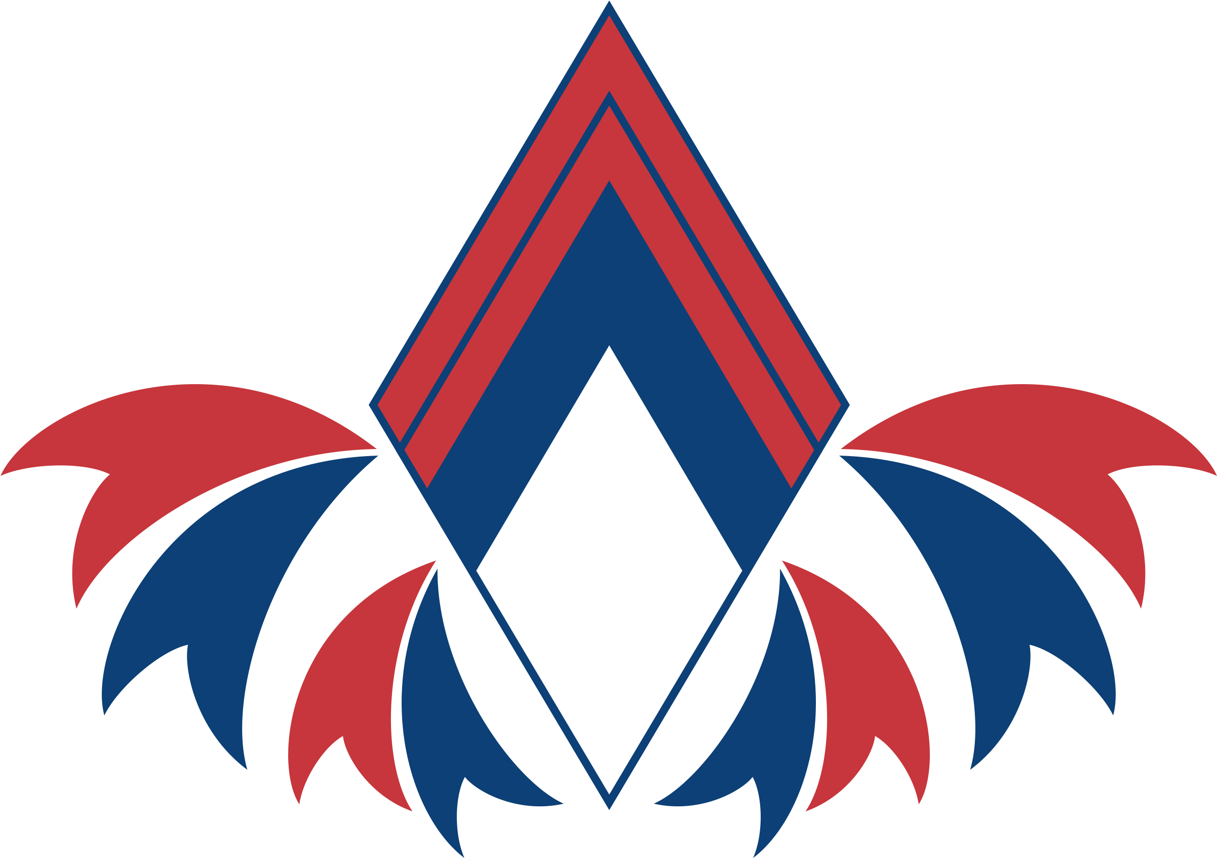 Kingdom Of Soarbia Emblem By Snowcat93 Kingdom Of Soarbia - Technology Safety - Free Transparent PNG Clipart Images Download. - Technology Transparent PNG Free Download