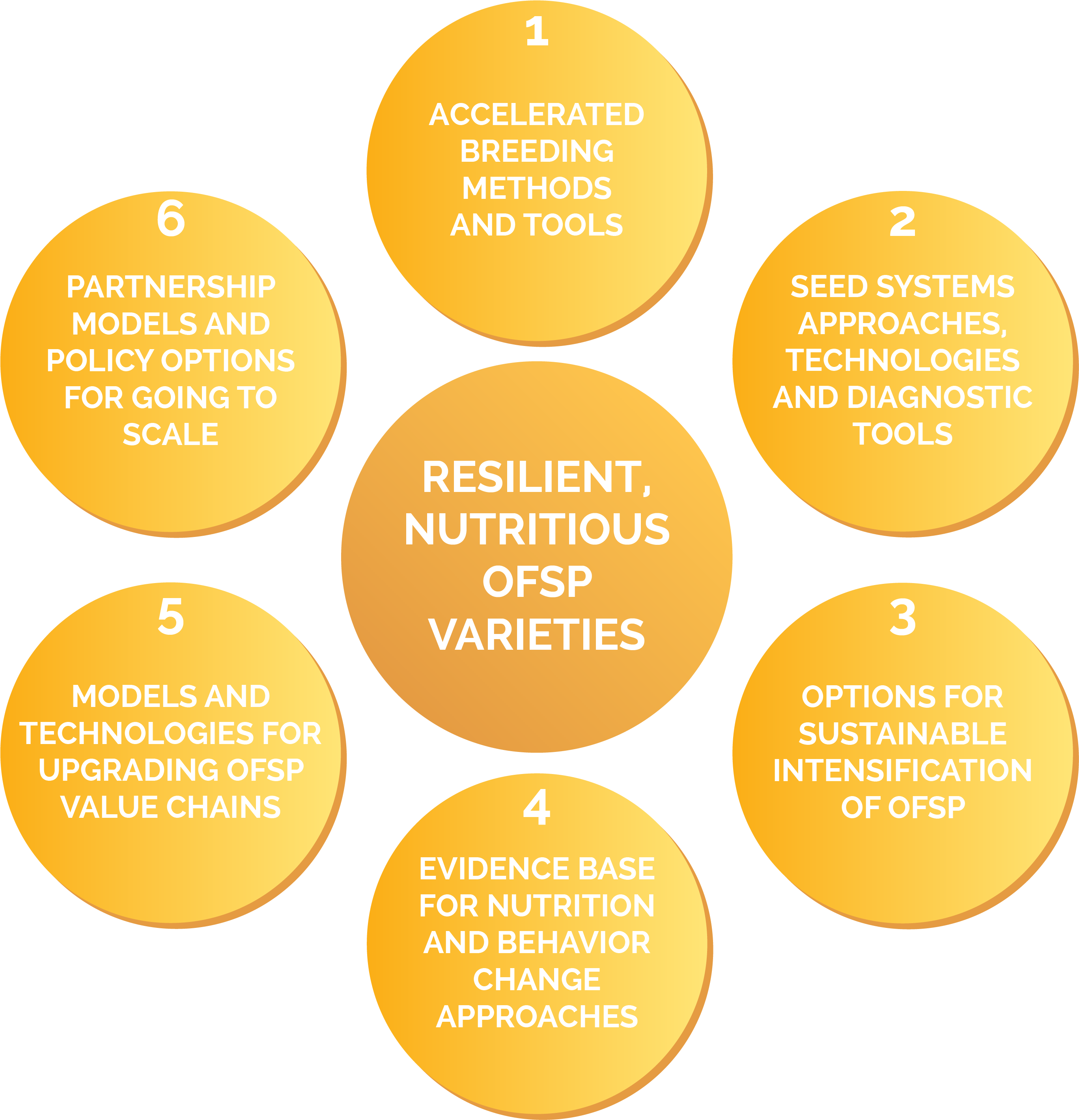 We Will Engage With Regional Research And Nutrition - International Potato Center - Free Transparent PNG Clipart Images Download. - Technology Transparent PNG Free Download