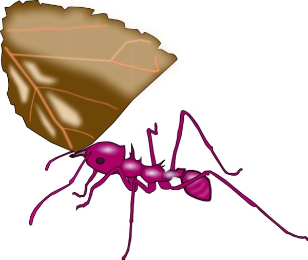 Ant Carrying A Leaf Vector Clip Art - New Jersey Institute Of Technology - Free Transparent PNG Clipart Images Download. - Technology Transparent PNG Free Download