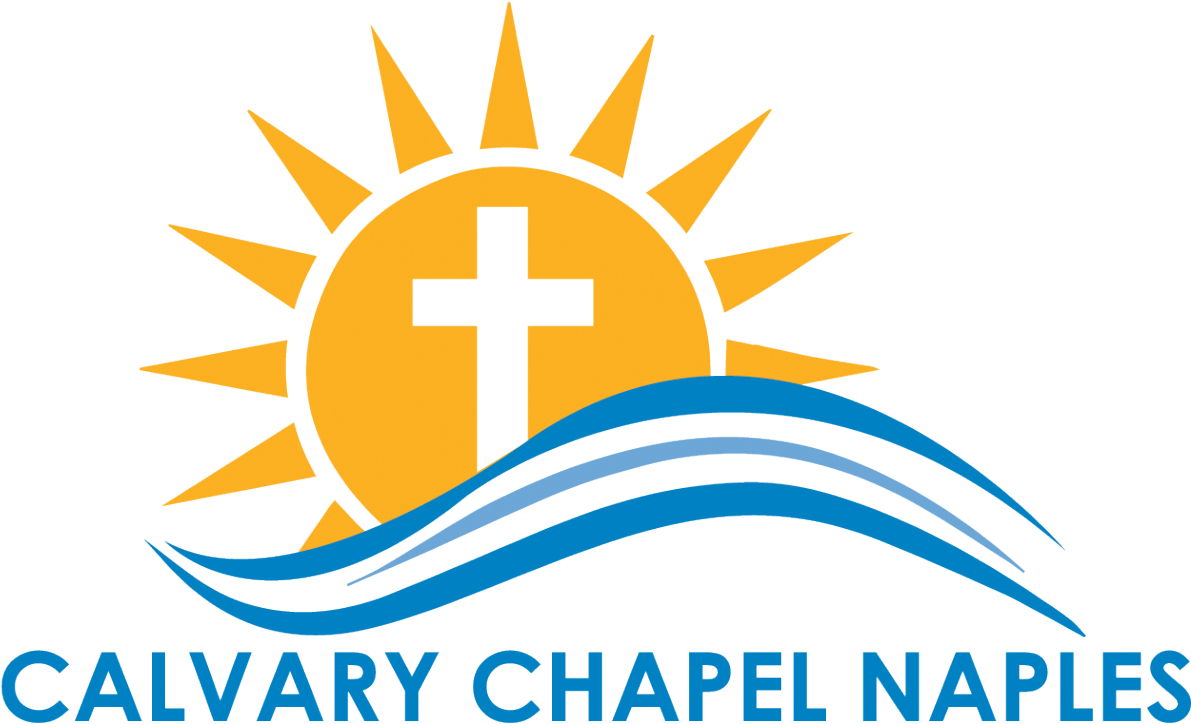 Powered By Ardent Payment Solutions, A Pci Compliant - Baby Kiko - Free Transparent PNG Clipart Images Download. - Technology Transparent PNG Free Download