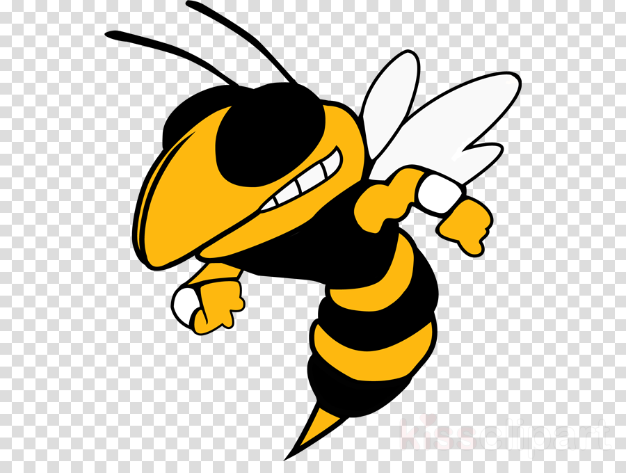 Oxnard Yellow Jackets Clipart Oxnard High School Georgia - Harpursville Hornets - Free Transparent PNG Clipart Images Download. - Technology Transparent PNG Free Download