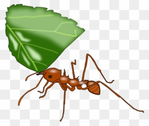 Ant Clipart Vector - New Jersey Institute Of Technology - Free Transparent PNG Clipart Images Download. - Technology Transparent PNG Free Download