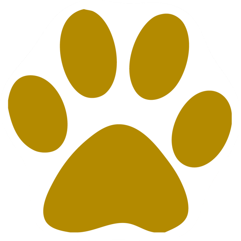 Custom Cat Paw Car Magnets - Portrait Of A Man - Free Transparent PNG Clipart Images Download. - Vehicles Transparent PNG Free Download