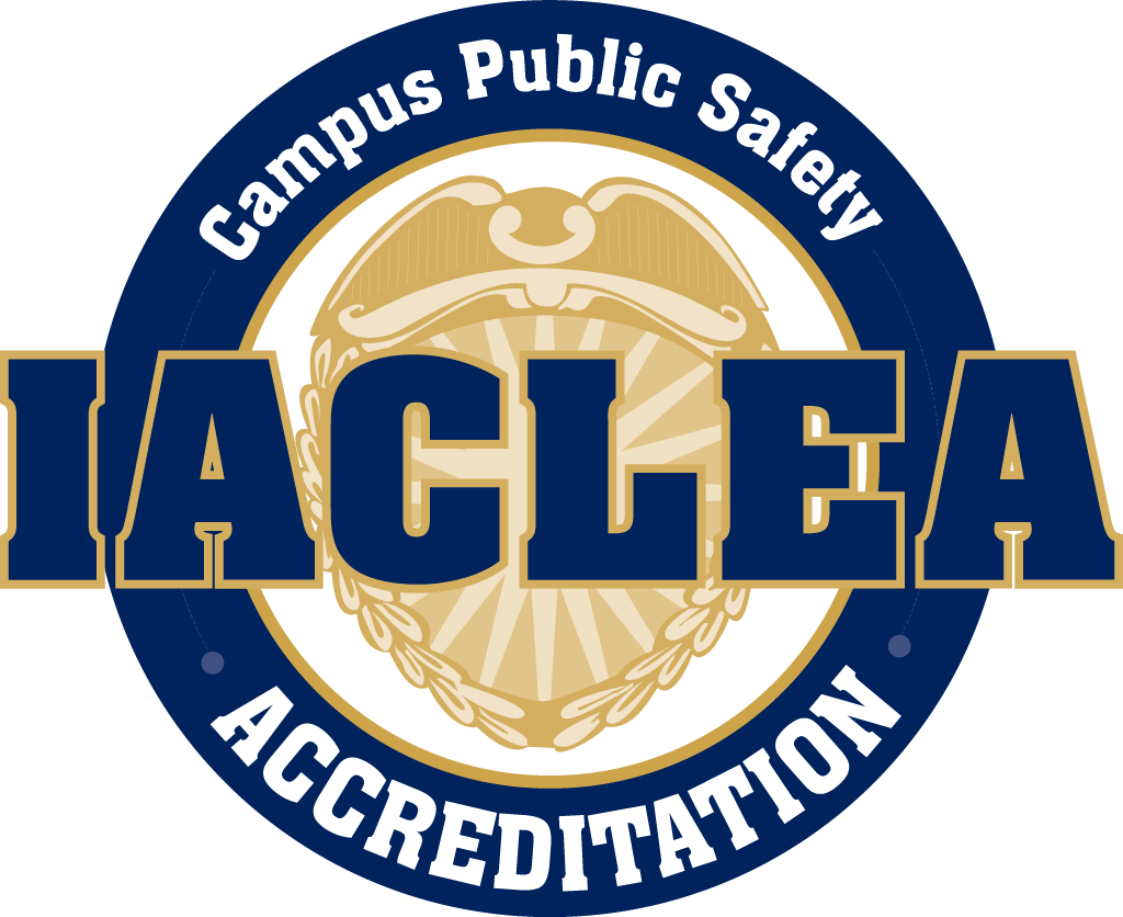 The Department Is Responsive To The Special Needs Of - Lamar Vikings Football - Free Transparent PNG Clipart Images Download. - Viking Transparent PNG Free Download