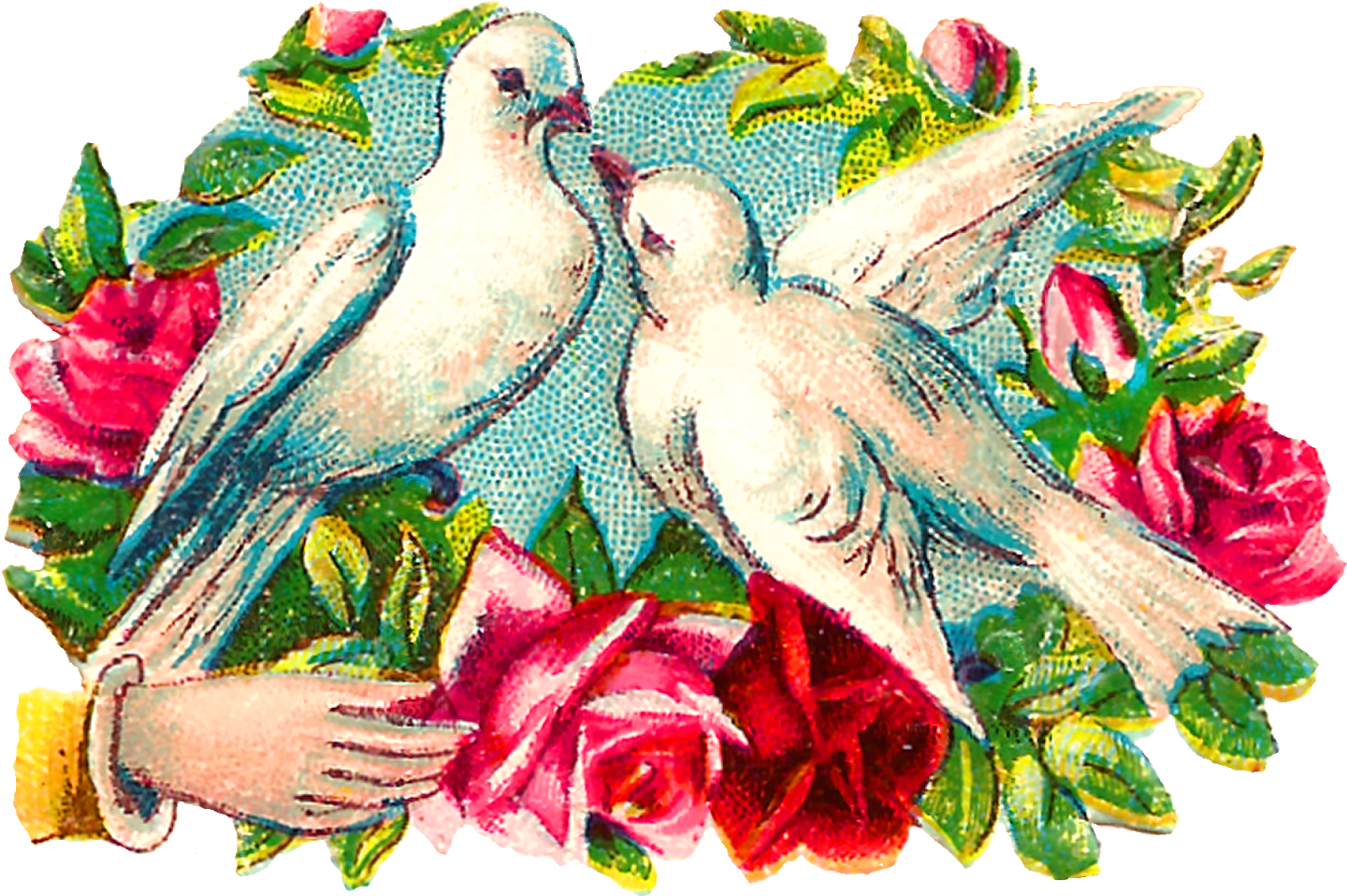 The Colorful Romantic Clipart Images Of Pairs Of Doves - Garden Roses - Free Transparent PNG Clipart Images Download. - Wedding Transparent PNG Free Download
