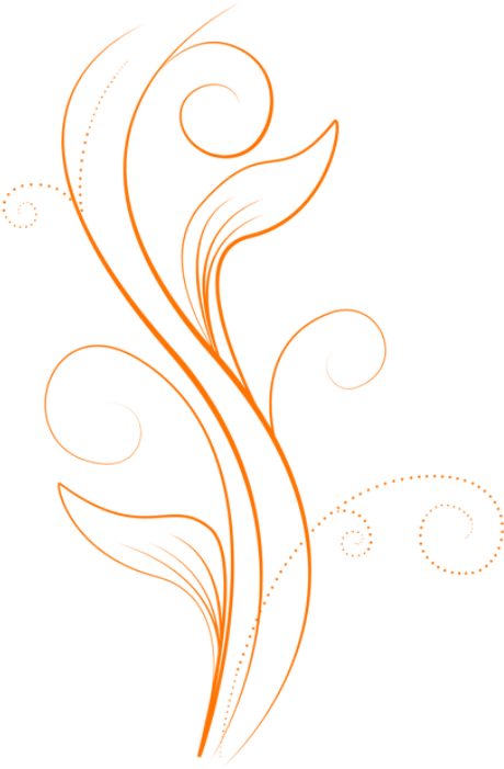 Free Wedding Photo Frames For Photoshop Free Download - Illustration - Free Transparent PNG Clipart Images Download. - Wedding Transparent PNG Free Download