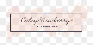 Nashville Wedding Photographer - Calligraphy - Free Transparent PNG Clipart Images Download. - Wedding Transparent PNG Free Download