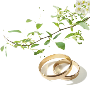 Wedding Rings I - Die Liebe Hört Niemals Auf 9783746233765 (paperback) - Free Transparent PNG Clipart Images Download. - Wedding Transparent PNG Free Download