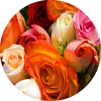 Every Girl Dreams Of Her Perfect Wedding Day Since - Flower Transparent PNG - 350x350 - Free Download on - Wedding Transparent PNG Free Download