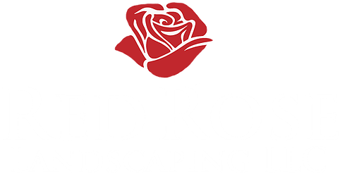 Home - Zwei Rote Rosen, Die Uawg Wedding Sind Karte - Free Transparent PNG Clipart Images Download. - Wedding Transparent PNG Free Download