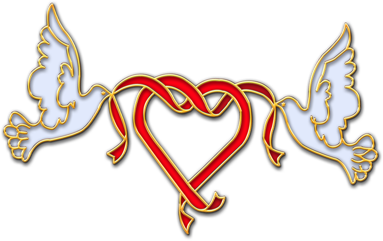 Wedding Dove Clipart Png - Wedding Dove Clipart Png - Free Transparent PNG Clipart Images Download. - Wedding Transparent PNG Free Download