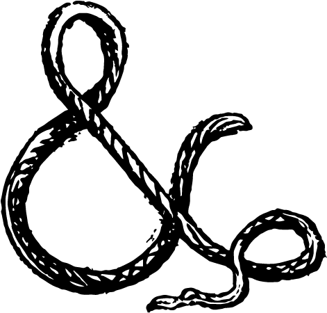 We Love Your Photography Can We Book You For Our Wedding - Line Art Transparent PNG - 800x600 - Free Download on - Wedding Transparent PNG Free Download