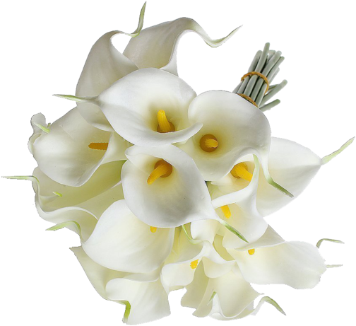 Eforcase Refreshing Calla Lily Bridal Wedding Bouquet - Sodial Calla Lily Bridal Wedding Bouquet 20 Head Latex - Free Transparent PNG Clipart Images Download. - Wedding Transparent PNG Free Download