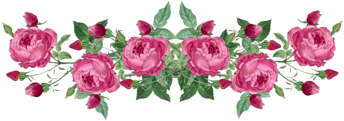 Wedding Anniversary Borders Wallpaper 1080p - Happy Birthday To Someone Special - Free Transparent PNG Clipart Images Download. - Wedding Transparent PNG Free Download