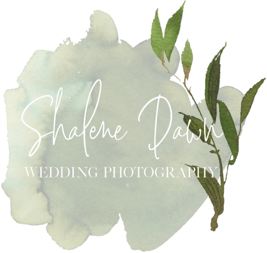 Shalene Dawn Photography Edmonton Alberta Elopement - Agave - Free Transparent PNG Clipart Images Download. - Wedding Transparent PNG Free Download