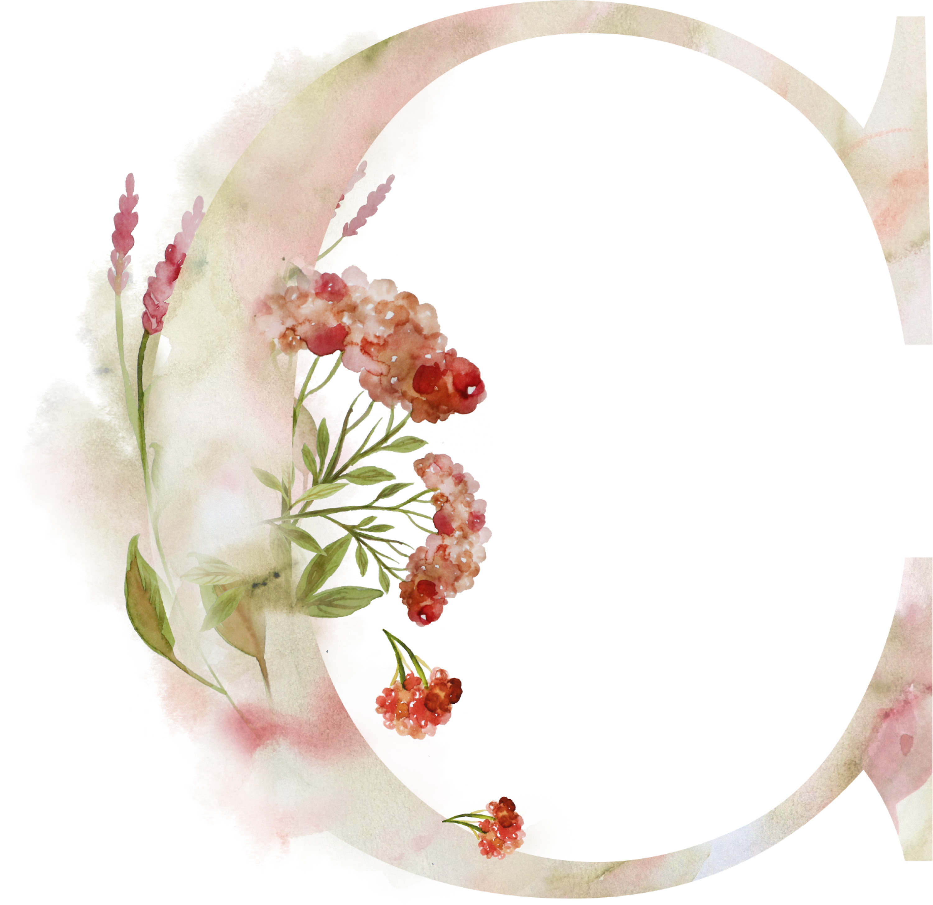 Bsuchstabe C Alphabet Monogram Zeichen Watercoler Gezeichnet - Sleepy Ridge Weddings - Free Transparent PNG Clipart Images Download. - Wedding Transparent PNG Free Download
