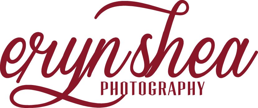 Windsor Ontario Wedding Photographer - Windsor Ontario Wedding Photographer - Free Transparent PNG Clipart Images Download. - Wedding Transparent PNG Free Download