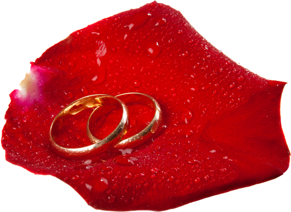 Free Png Wedding Rings In Rose Petal Png Images Transparent - Love You Dp Transparent PNG - 850x627 - Free Download on - Wedding Transparent PNG Free Download