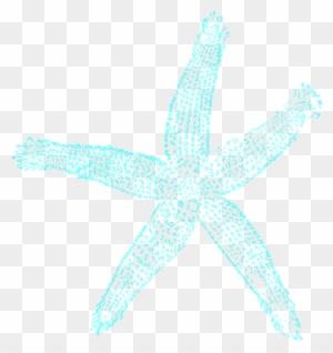 Maehr Starfish Wedding Clip Art - Fish Clip Art - Free Transparent PNG Clipart Images Download. - Wedding Transparent PNG Free Download