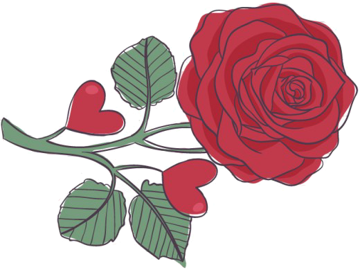 Wedding Videographer In Columbia Sc, Camden, Aiken, - Cafepress Drawing Of A Rose Full/queen Duvet Cover - Free Transparent PNG Clipart Images Download. - Wedding Transparent PNG Free Download